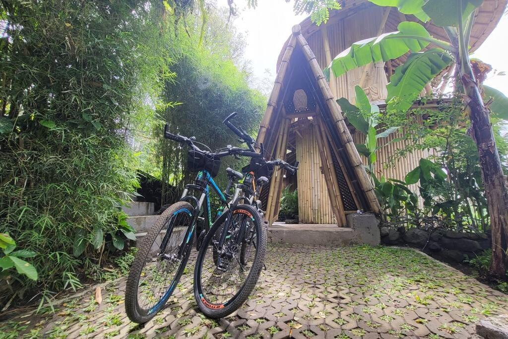 The Nude House Villa Selat Kültér fotó